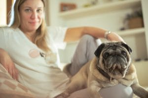 Fotografia cani